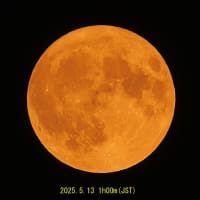 2025青森の旅その10（函館から札幌へ）
