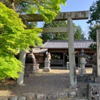 下米田の神社⛩️今神社
