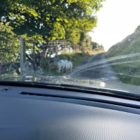 英国ひとり旅　マン島TT観戦記20　ウェールズの絶景とYnycypandy State Mill そして本日のお宿は、、、なんたる偶然！！