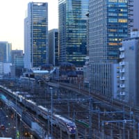 東京駅と200系カラーE2系
