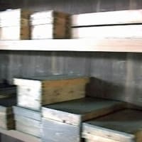 海鳥のサンクチュアリ　天売島と森林浴を楽しむメルヘンの焼尻島　７４回目　羽幌
