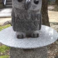 神社に行く夢を見た（高牟神社）
