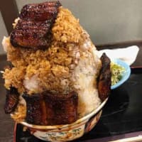 最悪デカ盛り！！　有名な 「関辻屋 支店」のうな丼大盛り！