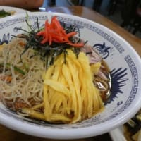 夏はこれ　☆彡　冷やし中華　やってます♪