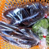 ナナオ君お寛ぎ