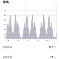 3月6日 大高緑地マラソン 10kmの部
