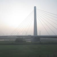 今日も家籠り