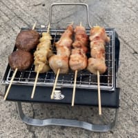 念願の焼き鳥。
