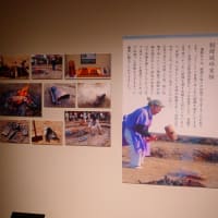 兵庫県立考古博物館　令和7年春季特別展「弥生の至宝　銅鐸」の観覧記　on　2025-6-13