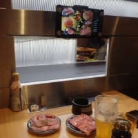 衰退していく日本が見えているのに止められない政治