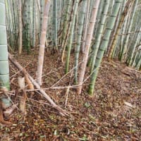 奈良市東南部の古墳探索②　～帯解黄金塚古墳・田中古墳～