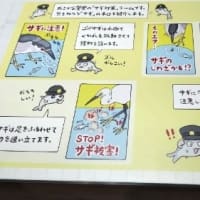 鳥展。～久しぶりの投稿です～