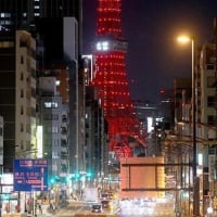 向井芳幸のブログ