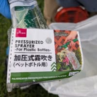 今日は梅干し第2回の日だけど　シュ～　しに畑へ