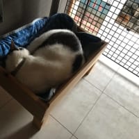 川の水