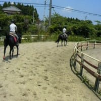 今日も暑いです。