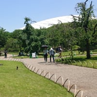 ＃162 -’25.　小石川後楽園で花菖蒲を楽しむ（小石川後楽園遍）