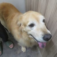 6月のKAIだけShampooDay