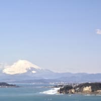 公園を散歩