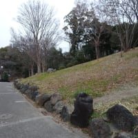No.2249　大阪市内を気ままにふらり歩き（3）・・・大正通