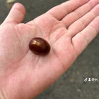 お疲れ様でした