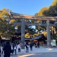 神社巡り～東京大神宮～花園神社～明治神宮