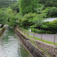 36　鎌研橋登山口から直登コースを経て音羽山、大津道、逢坂山　2025.05.19