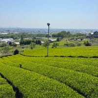 春の風景・・・池田山（大垣）