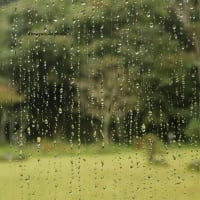 雨