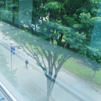 立川散策 2