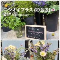 4月のフラワーレッスン