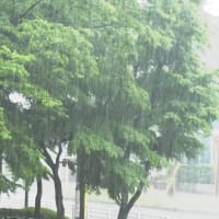 懇親会の日　台風２号崩れの接近で大雨