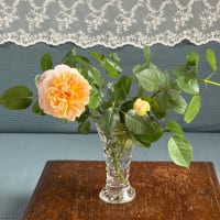 花と緑のある６月　　〜花姿いろいろ〜