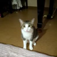クリンへの想いは尽きなくて・・・299