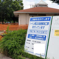 はなさき公園「紫陽花とメタセコイア」