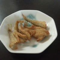リベンジ ハゼ釣り