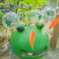 かえる寺・如意輪寺の「風鈴まつり」　～福岡県小郡市～　2025/6/21