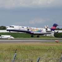 伊丹空港を発着する飛行機