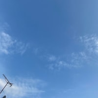 2025年06月20日　アカシジミ