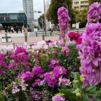今日は節分。福はうち！　鬼は外！　たくさん幸福を呼び込みましょう！！