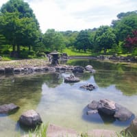 吉野公園のアジサイ他