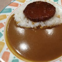 カレーライス（イマサ／C&C／CoCo壱番屋）（2024年7月）