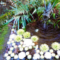 Flower water fountain☆名水姫の井戸・武田神社