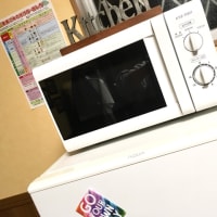 電子レンジがやってきた