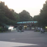 上野動物園
