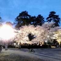 弘前に行って来ました。