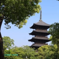 【京都幕間旅情】東寺,こうした日常の記録の膨大蓄積が最終的に玉石混交の一助となるのだろうか