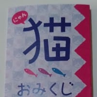 猫のくじ