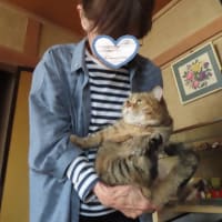 不意打ち抱っこのきょとん顔(*'▽')