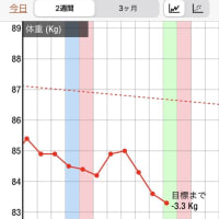少しづつダイエット